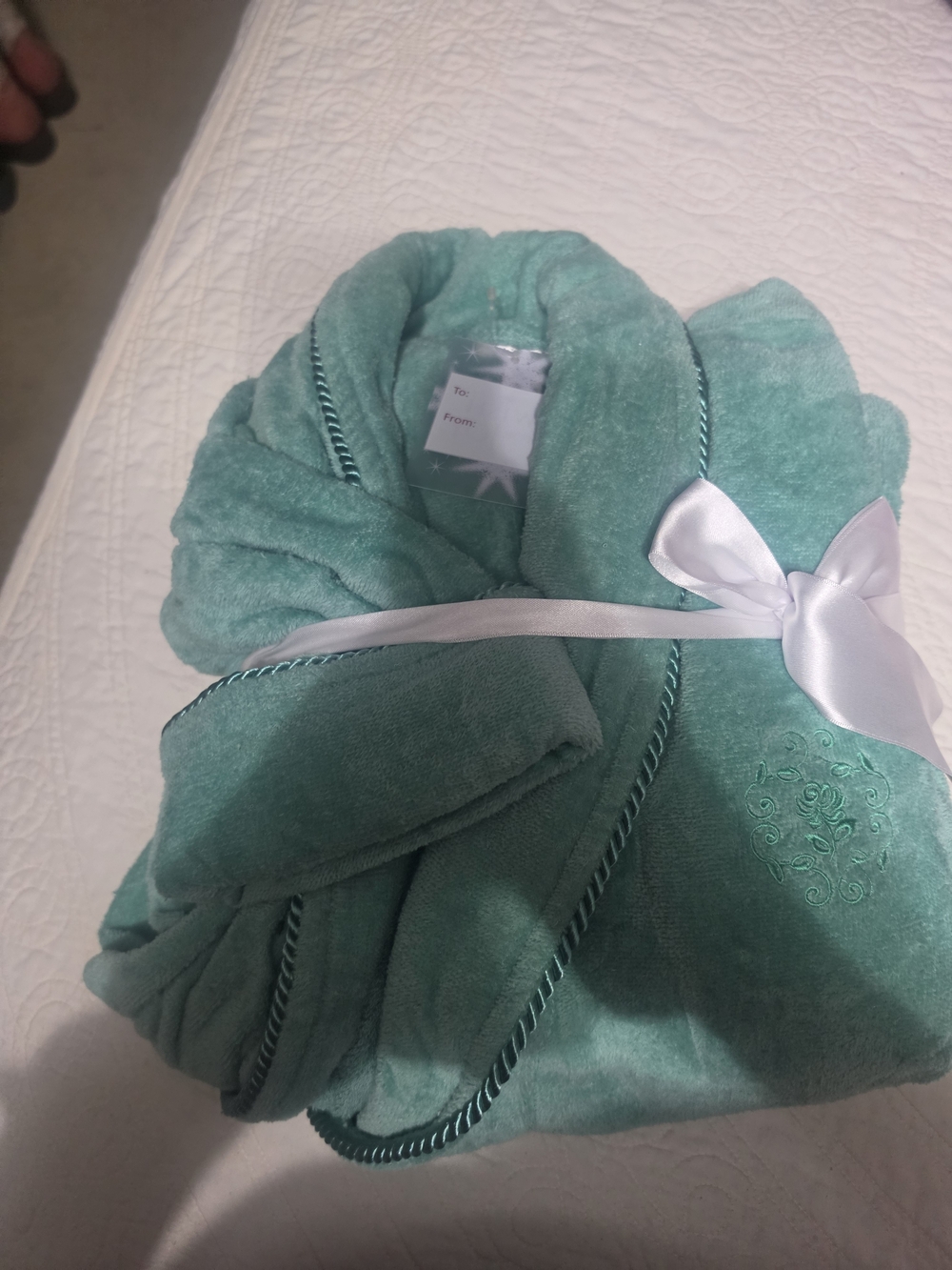 Sears Plush Spa Robe in Seafoam Green with Satin Ribbon